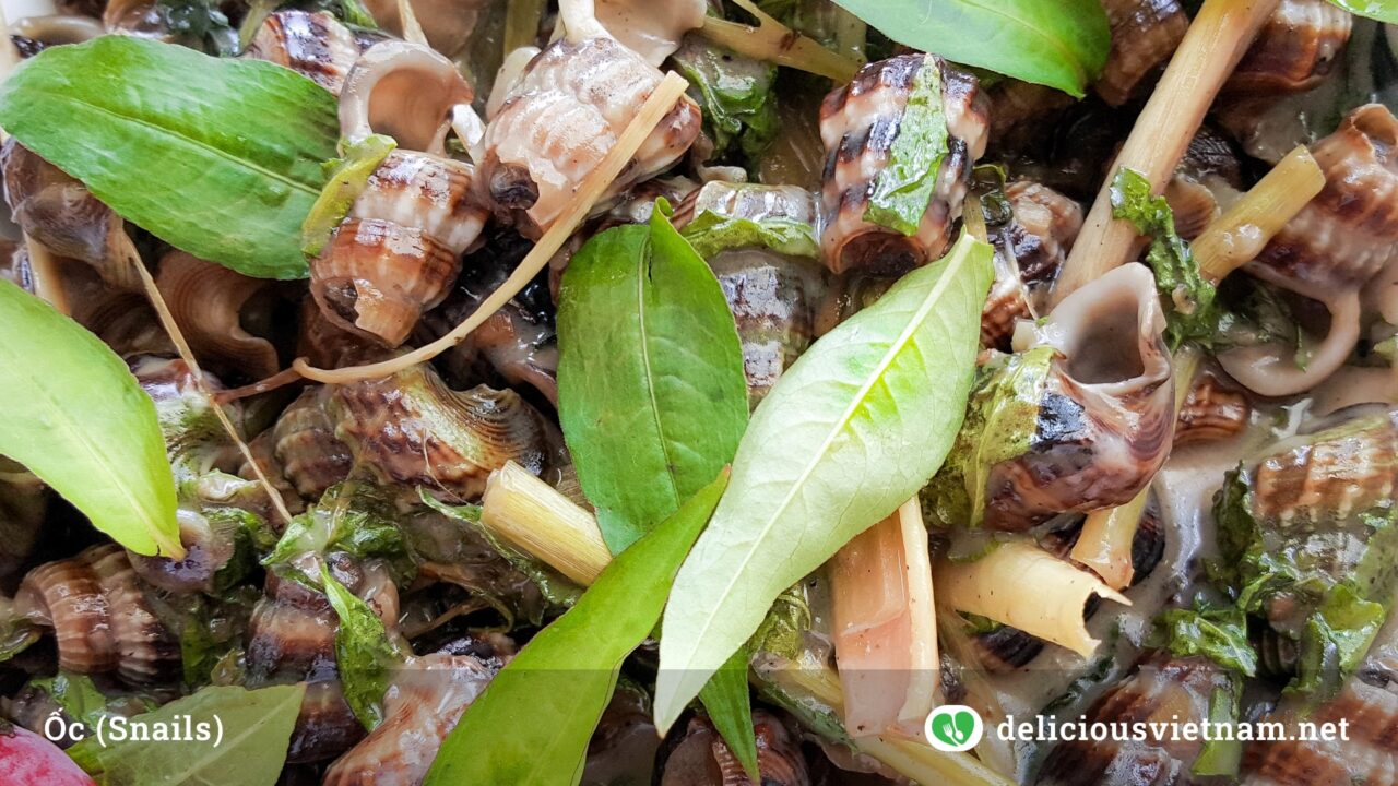 Oc Vietnamese Snails