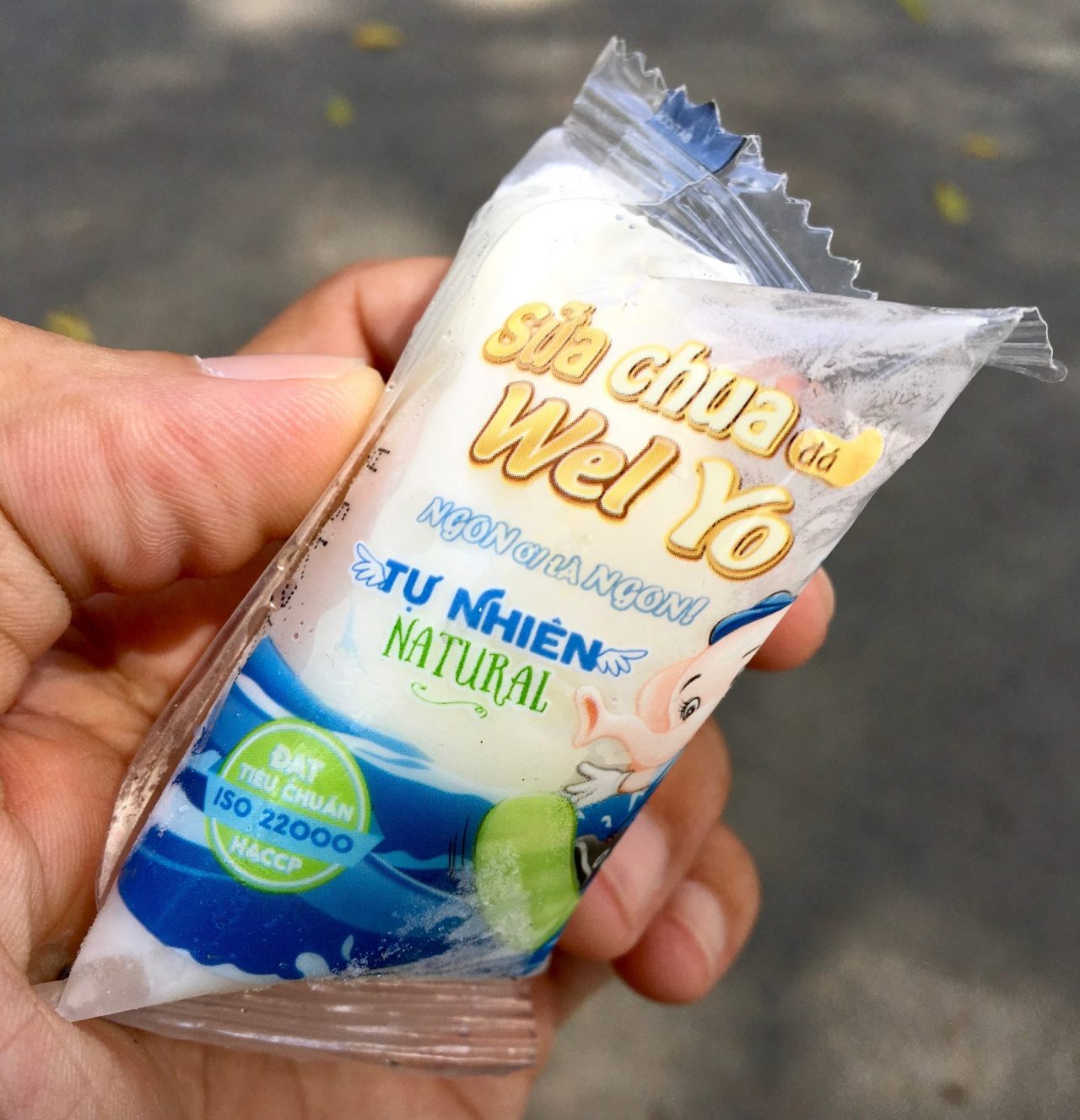 Sua Chua Wel Yo - Vietnamese Yoghurt Ice-Cream