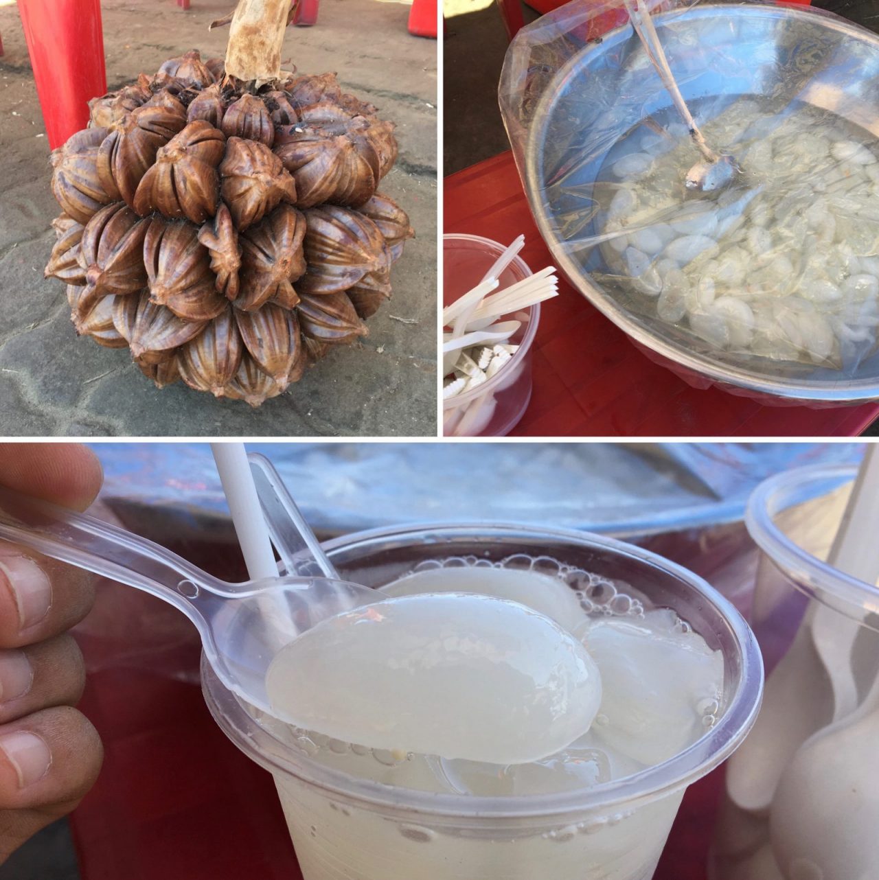 Vietnamese water coconut - Dừa Nước